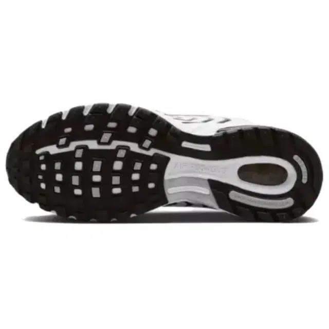 Nike Air Pegasus 2005
