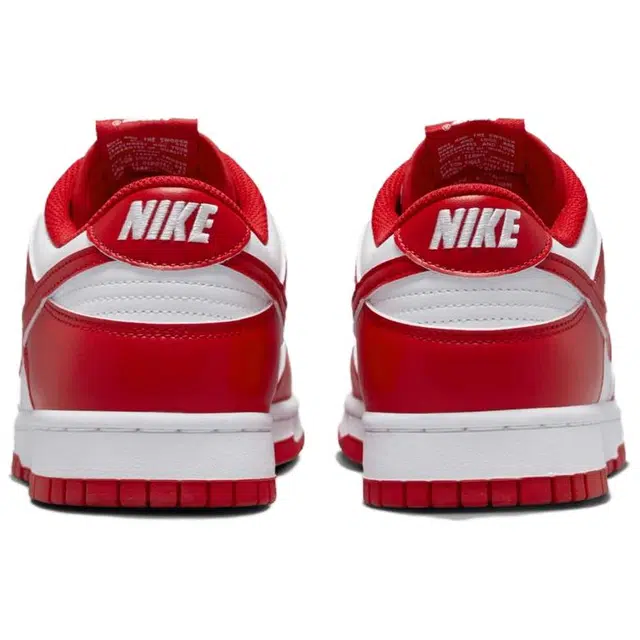 Nike Dunk Low Retro