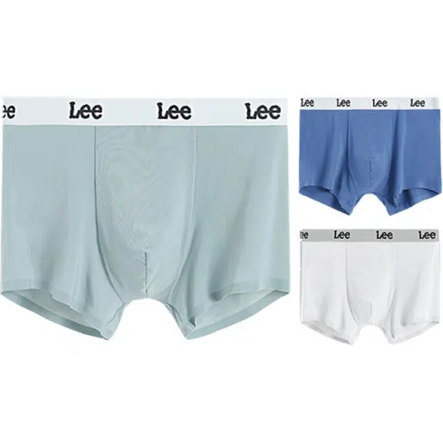 Lee 3
