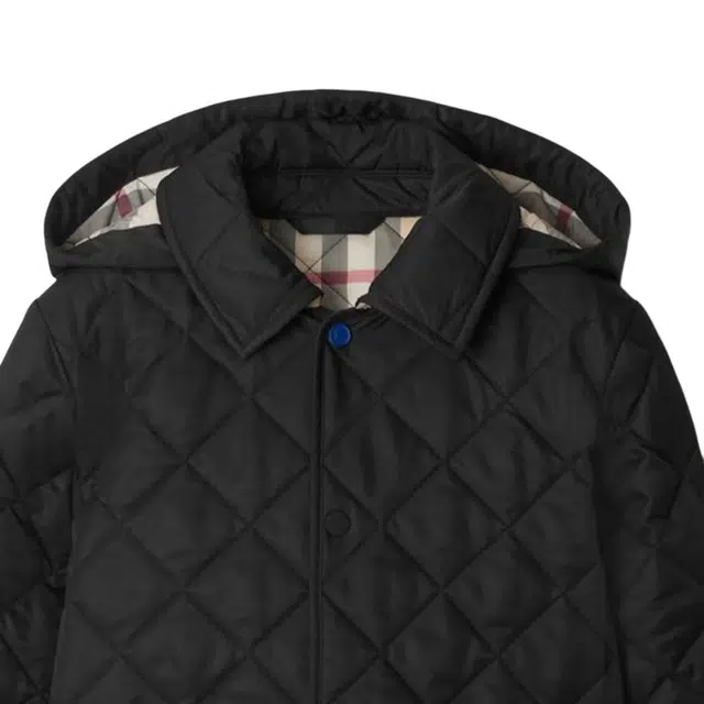 Burberry FW24