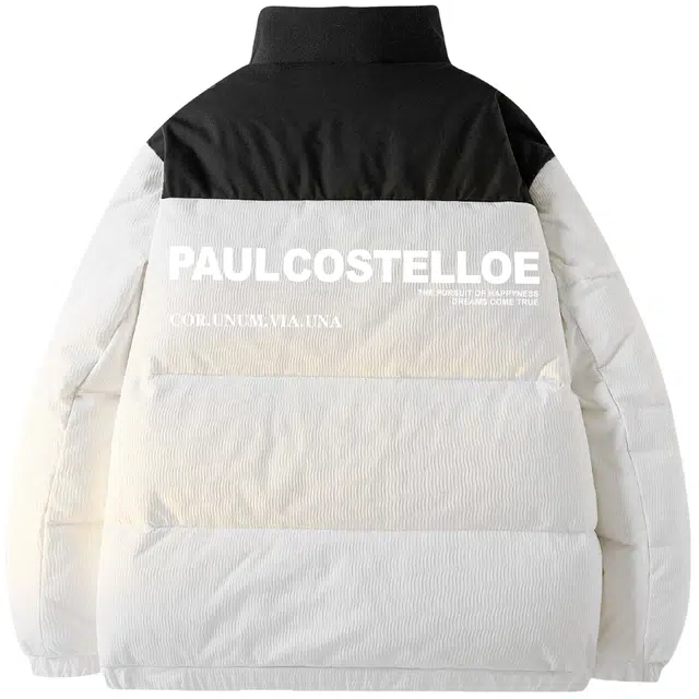 PAUL COSTELLOE logo