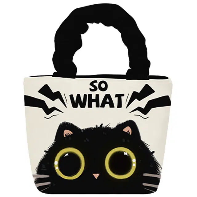 奥松 褶皱上班族高级感小众设计 绒面科技布 单肩斜挎手提包 女款 星星眼