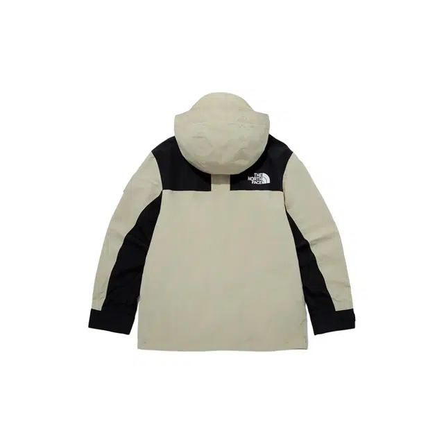 THE NORTH FACE LOGO