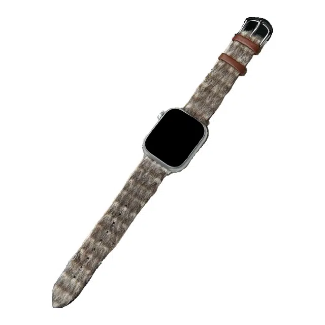 Applewatch S9S8SE76543