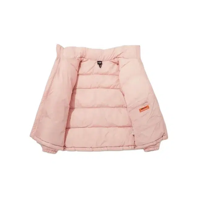 THE NORTH FACE Nuptse FW23 ON BALL