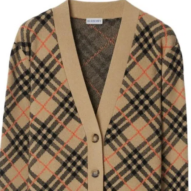 Burberry FW24 V