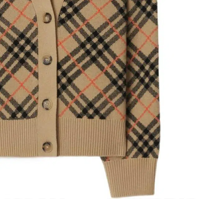 Burberry FW24 V