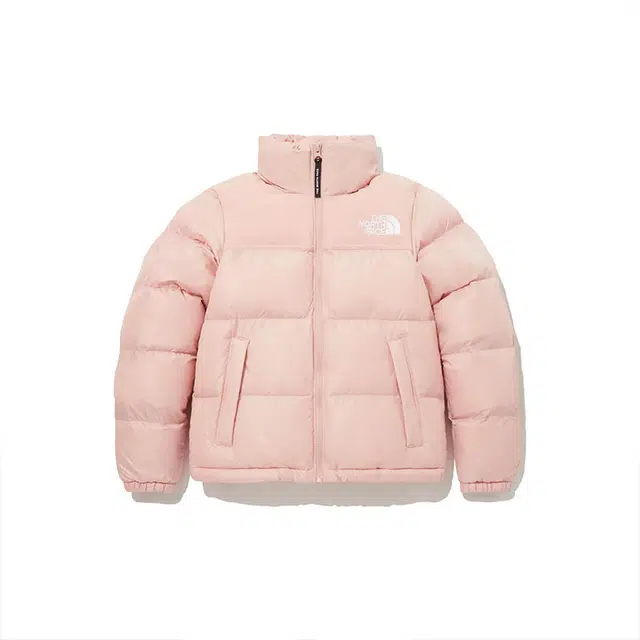 THE NORTH FACE Nuptse FW23 ON BALL