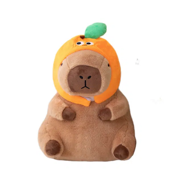 OU DI PIG 30cm40cm