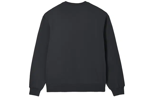 Champion FW24 c-tech Logo