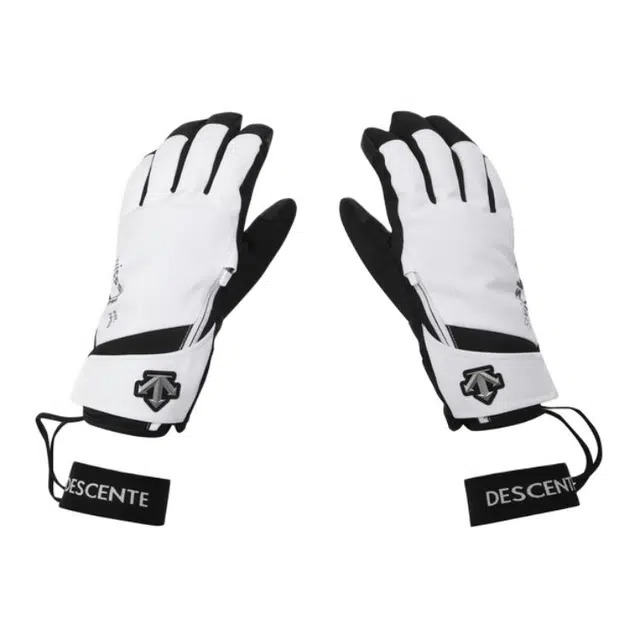 DESCENTE Logo