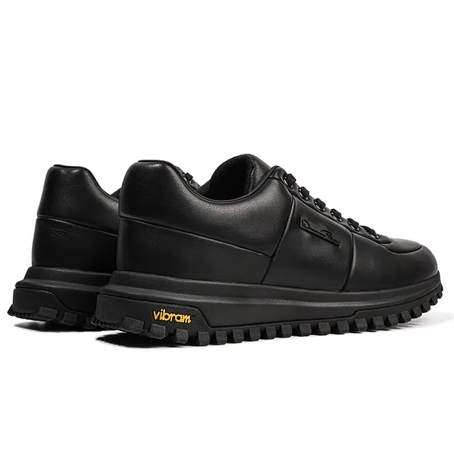 vibram x dreambox
