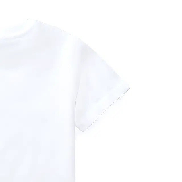 Polo Ralph Lauren T