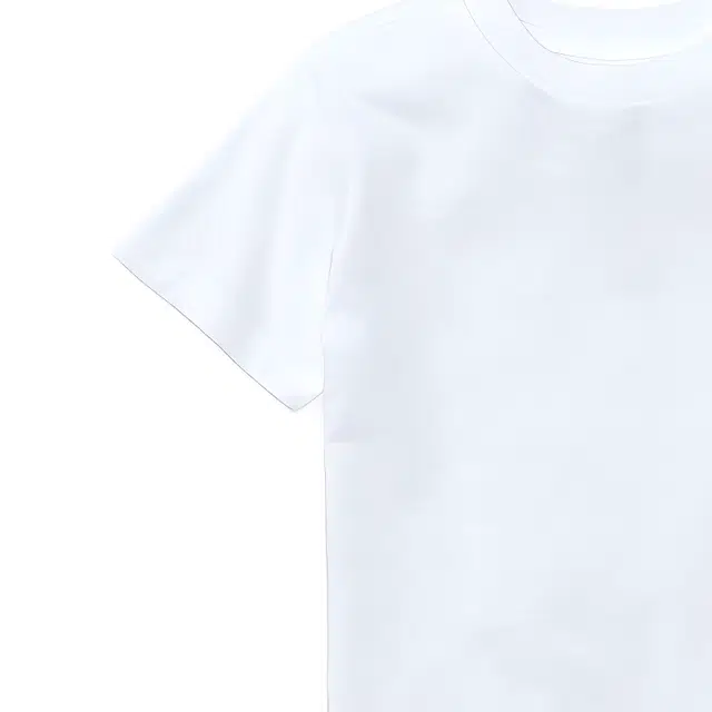 Polo Ralph Lauren T