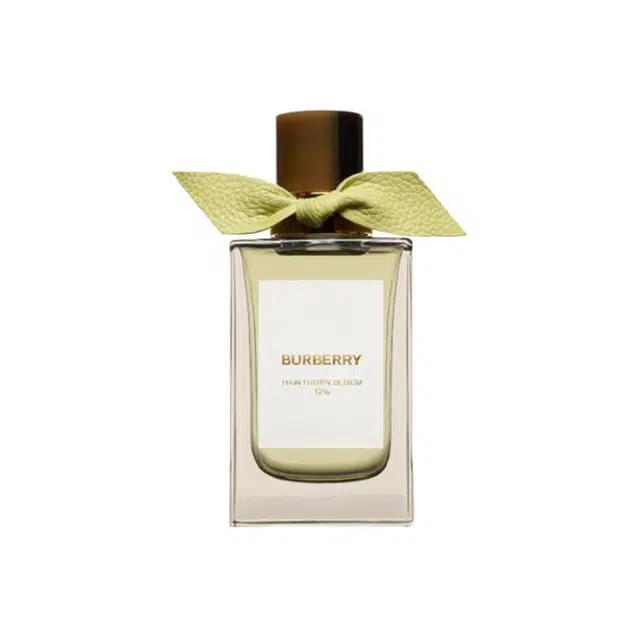 Burberry EDP 100ml150ml