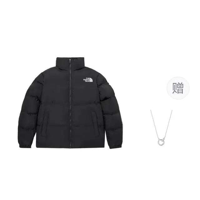 THE NORTH FACE Nuptse FW23