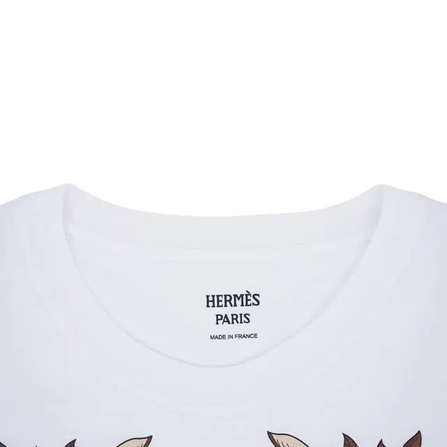 HERMES T