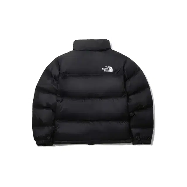 THE NORTH FACE 1996Nuptse FW23