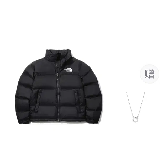 THE NORTH FACE 1996Nuptse FW23