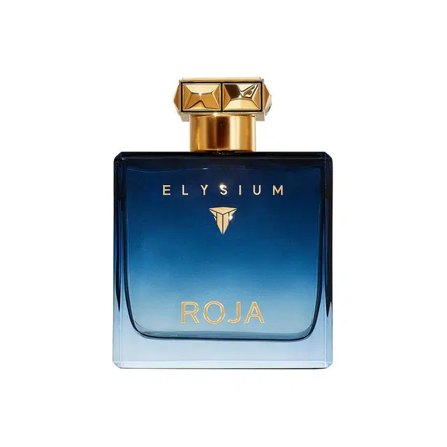 ROJA Elysium Pour Homme parfum 100ml