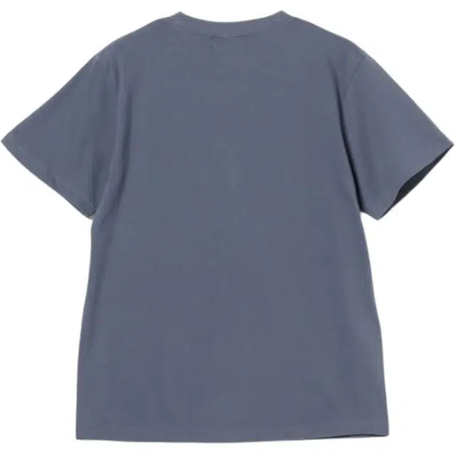 beams T