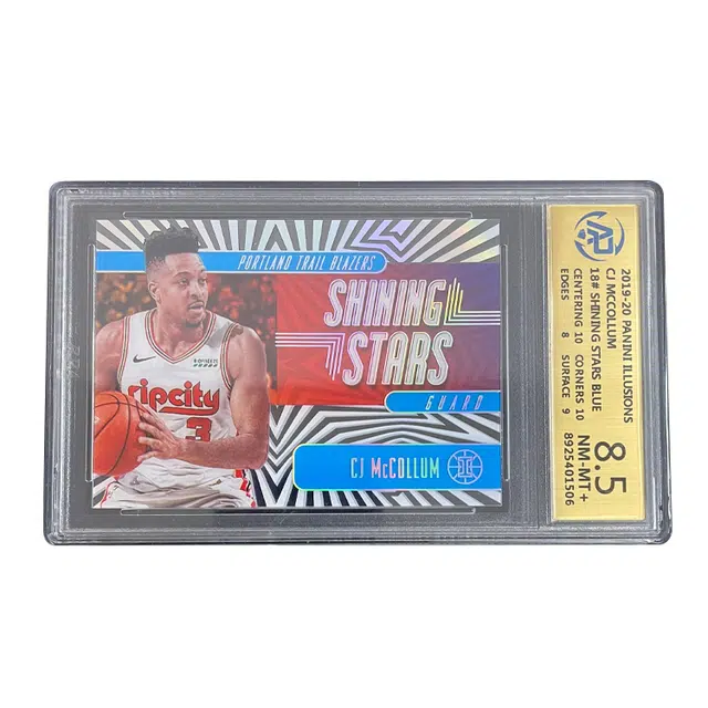 PANINI 2019-20 CJ