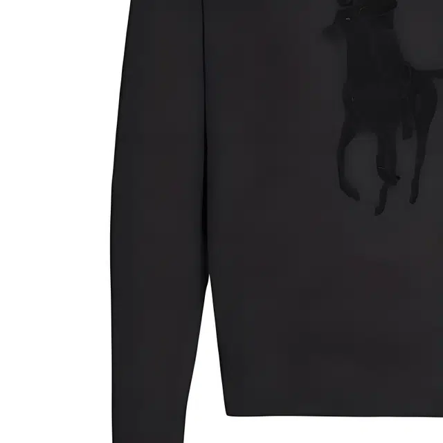 Polo Ralph Lauren Logo