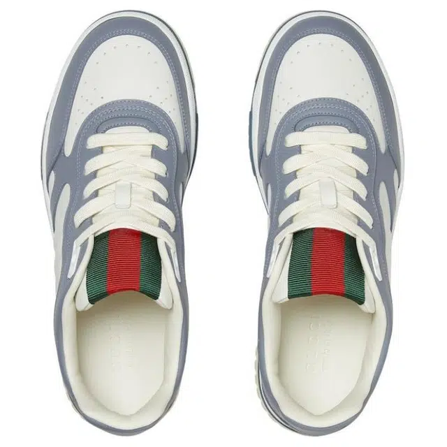 GUCCI Re-Web