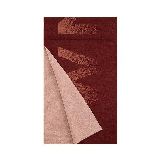 WENSLI 48