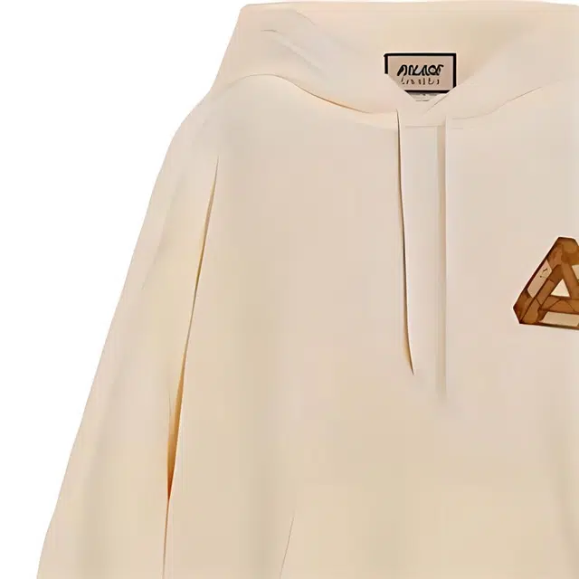 Gucci x Palace FW22 Hoodie