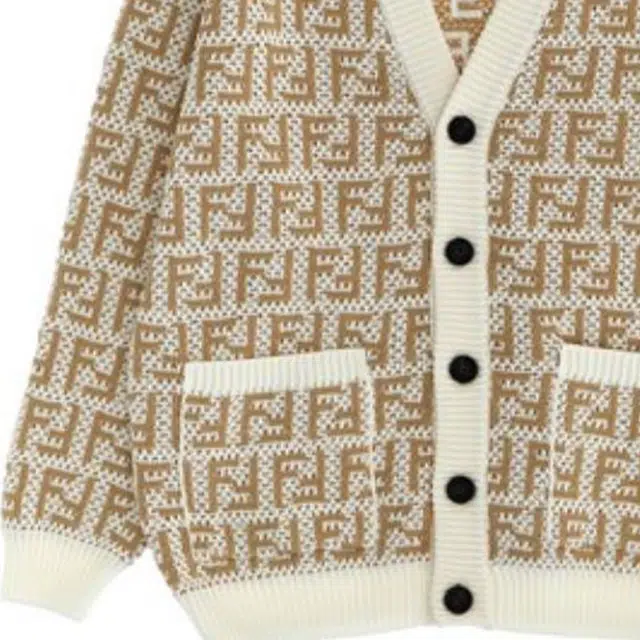 FENDI V