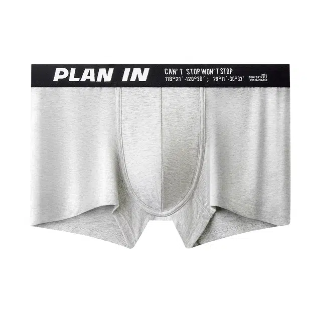 PLAN IN
