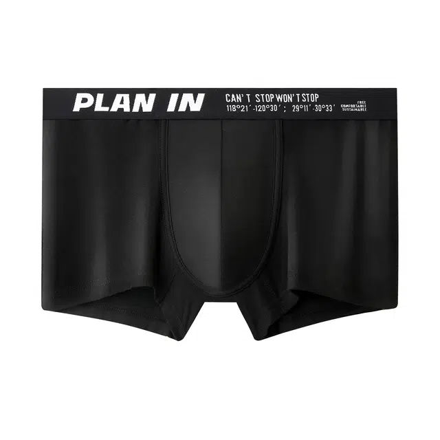 PLAN IN