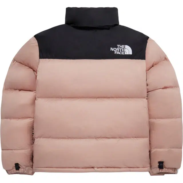 THE NORTH FACE 1996Nuptse ECO