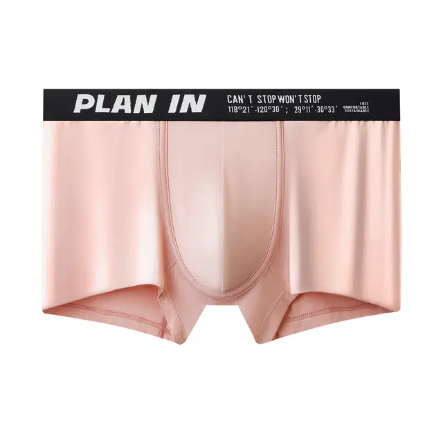 PLAN IN