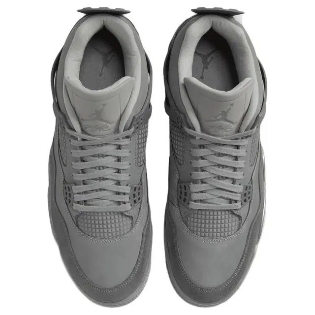 Jordan Air Jordan 4 SE "Smoke Grey"