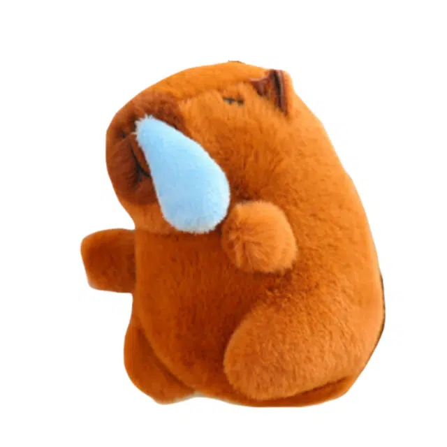 13cm