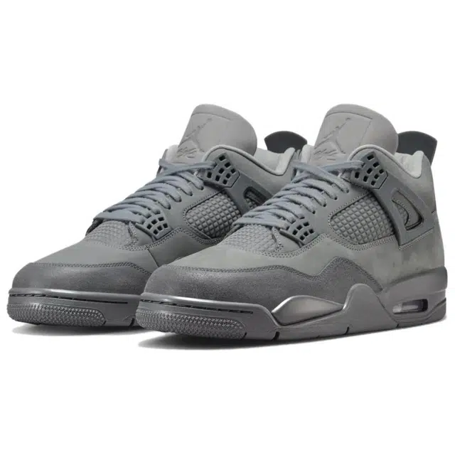 Jordan Air Jordan 4 SE "Smoke Grey"