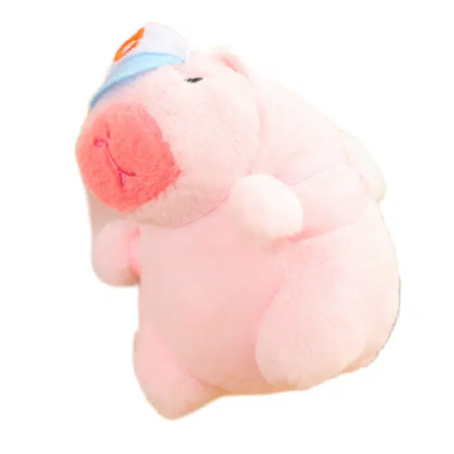 13cm