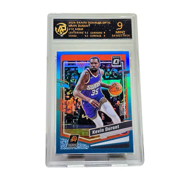 PANINI 210249