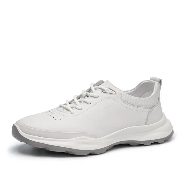 AQUASCUTUM