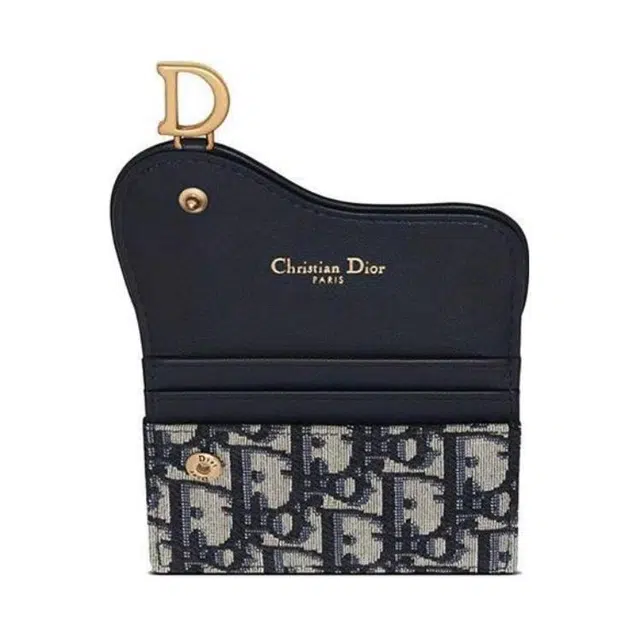 DIOR Oblique