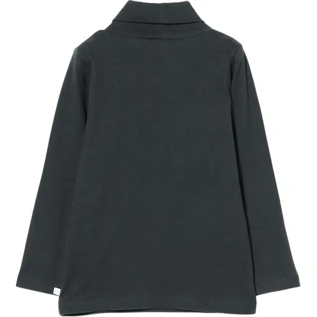 beams T