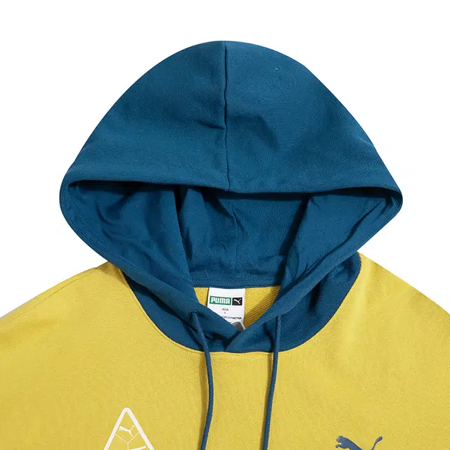 PUMA Team Badge Hoodie Tr