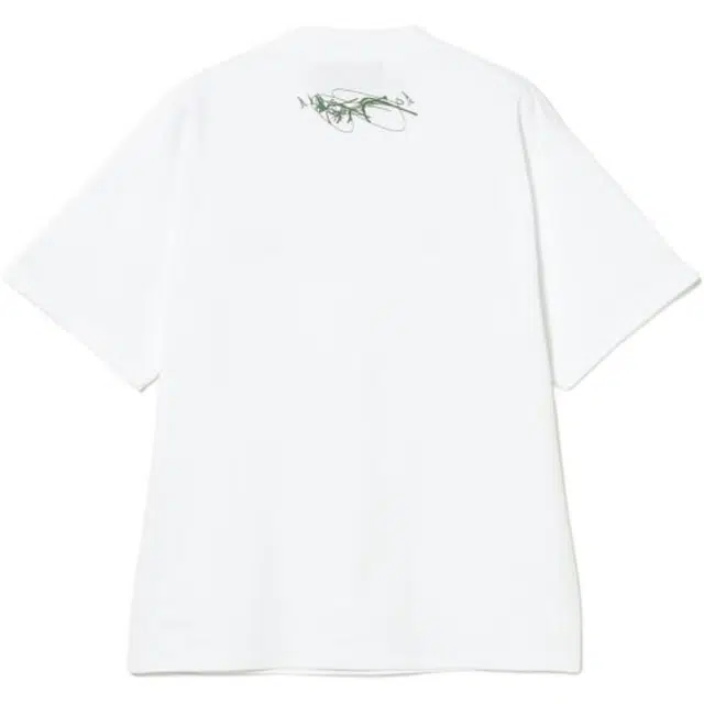 beams T