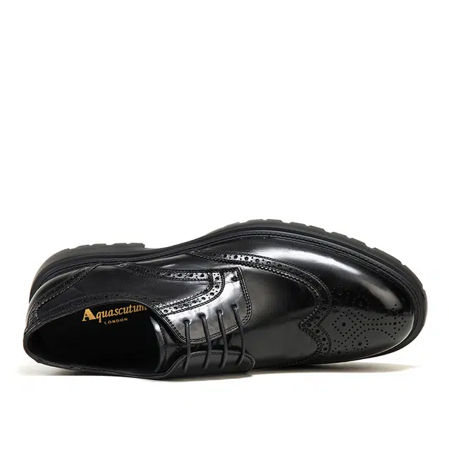 AQUASCUTUM