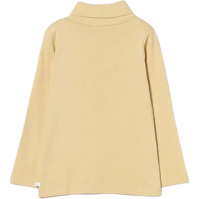 beams T