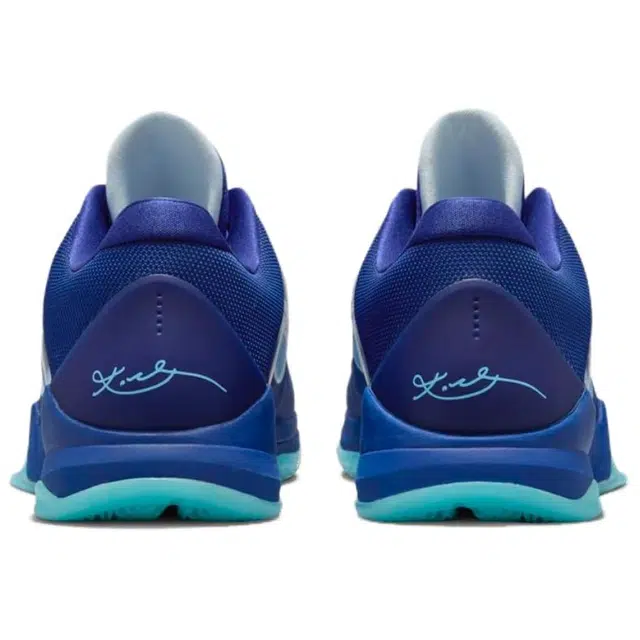 Nike Zoom Kobe 5 Protro X-Ray