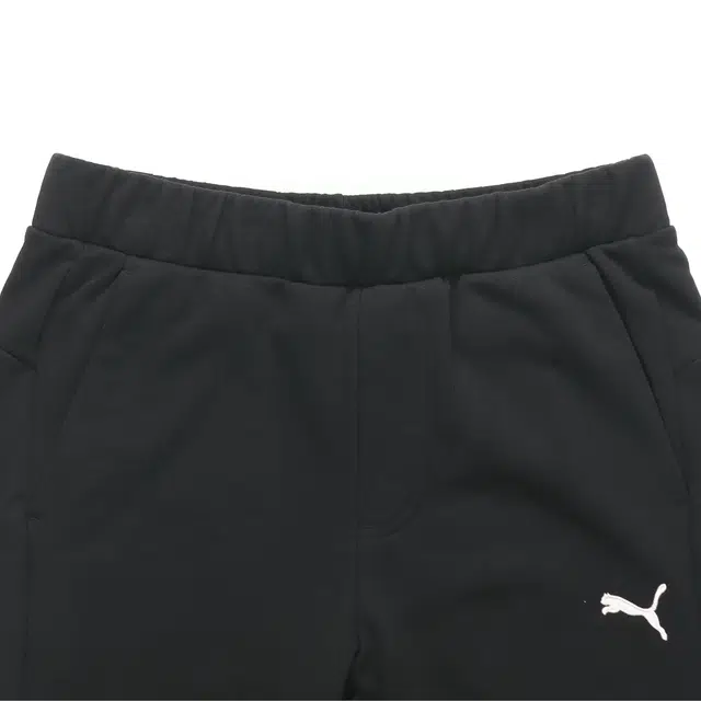 Puma Logo