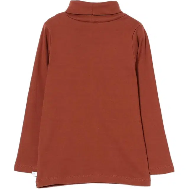 beams T